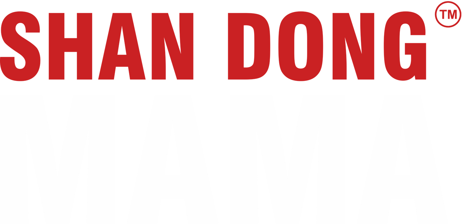 SDM Text Logo 2