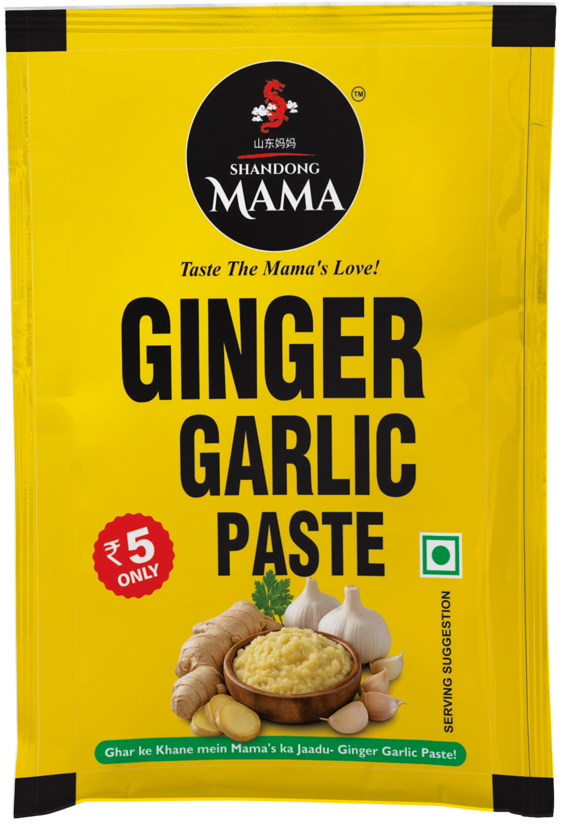 Ginger Garlic Paste 20g